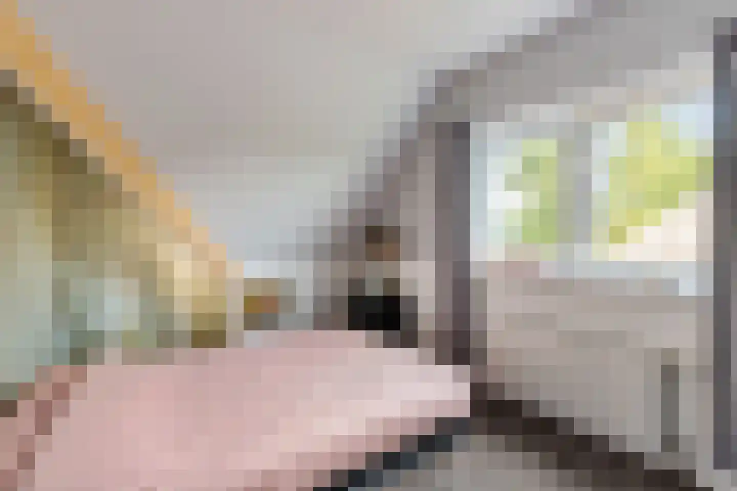 Spangahoekweg 39 Spanga thumbnail 33
