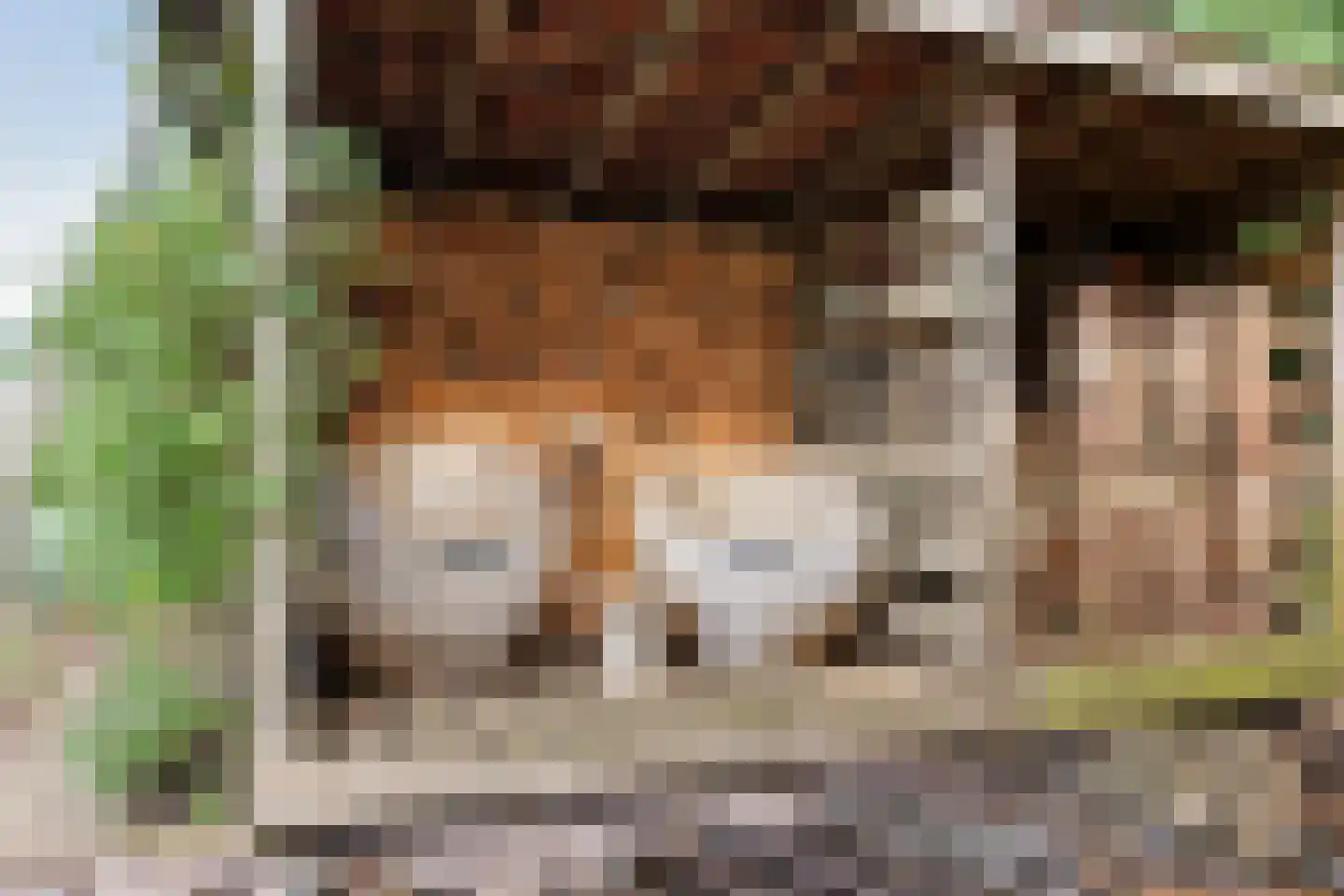 Spangahoekweg 39 Spanga thumbnail 45