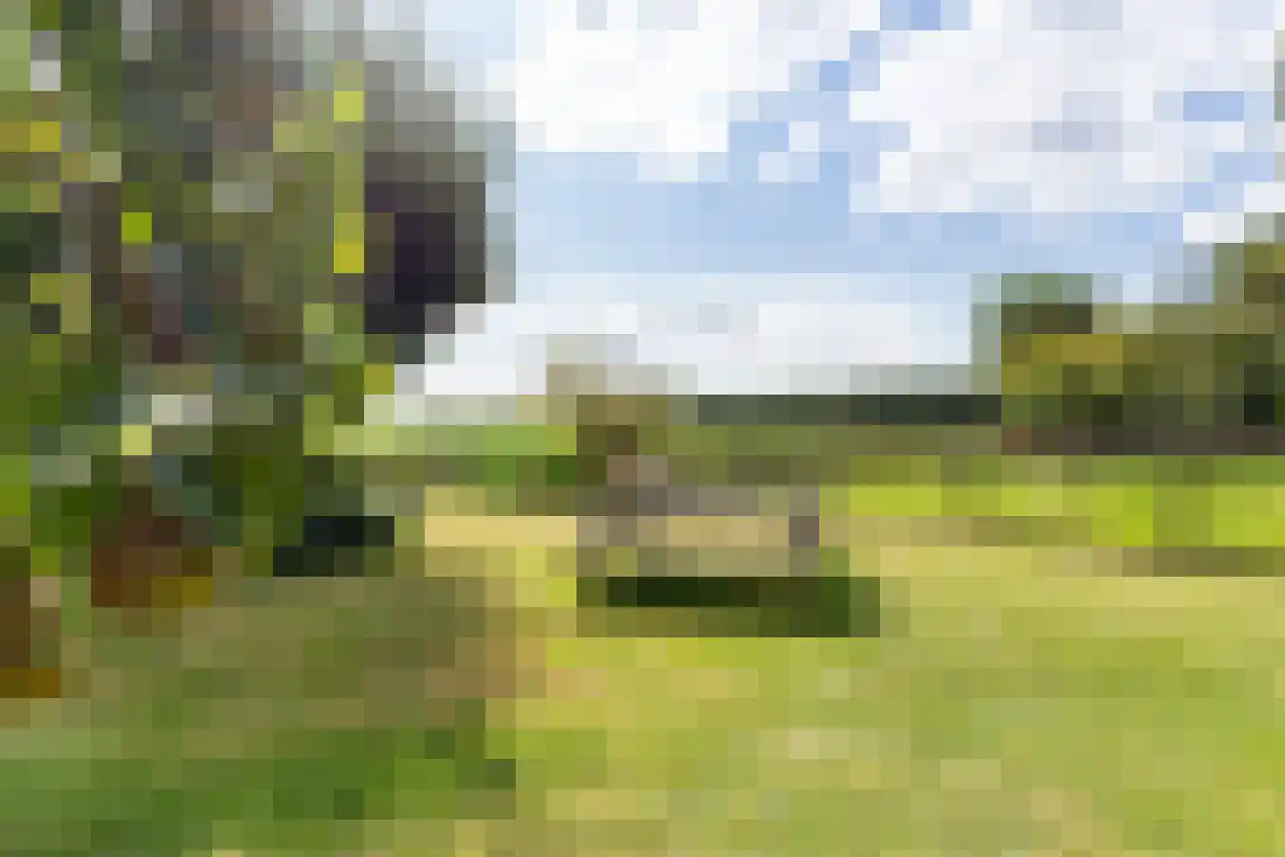 Spangahoekweg 39 Spanga thumbnail 53