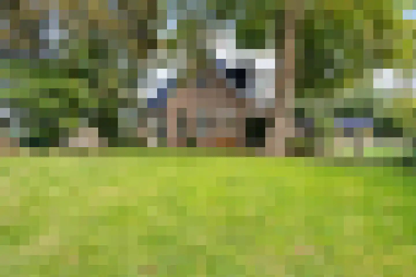 Spangahoekweg 39 Spanga thumbnail 60