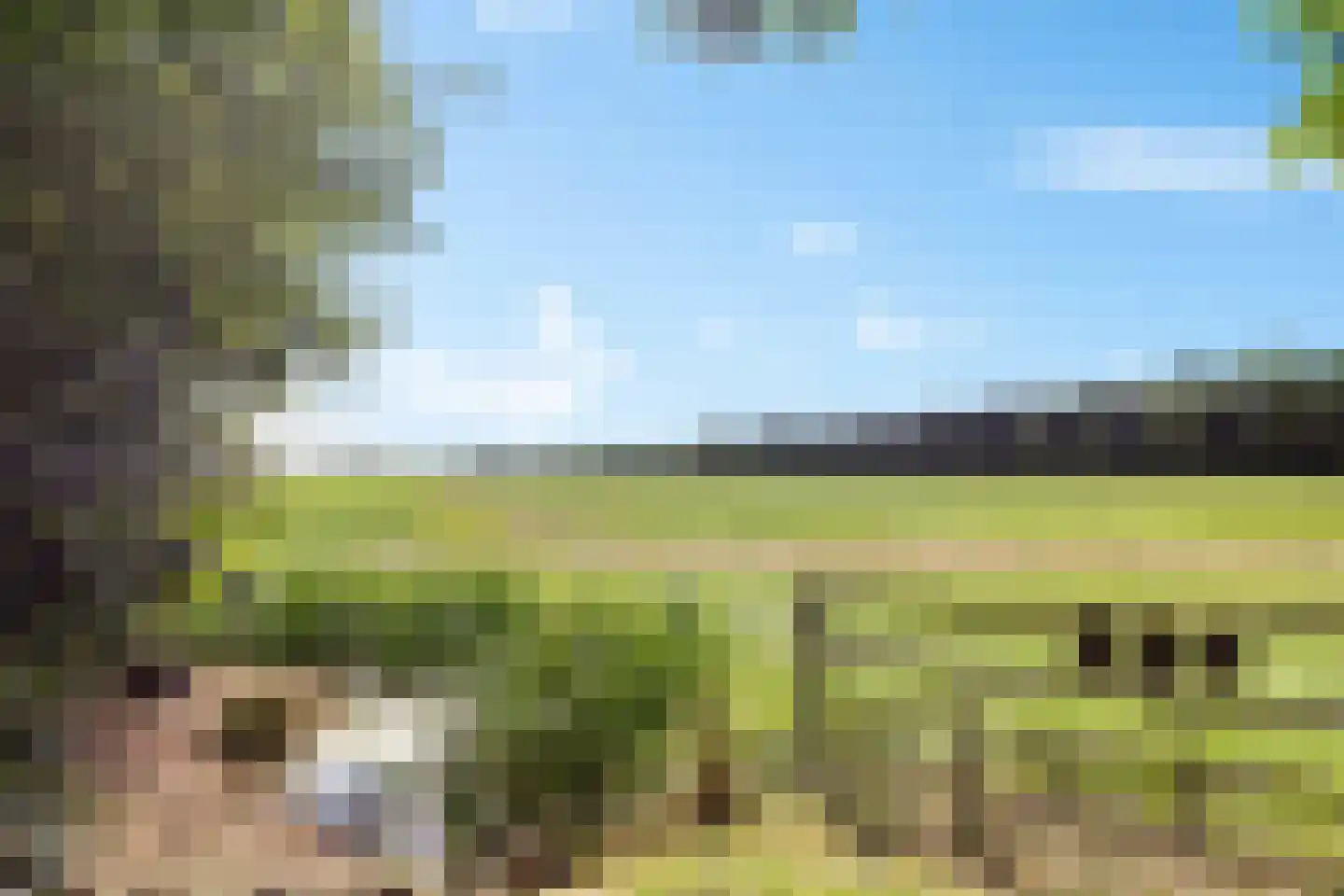 Spangahoekweg 39 Spanga thumbnail 61