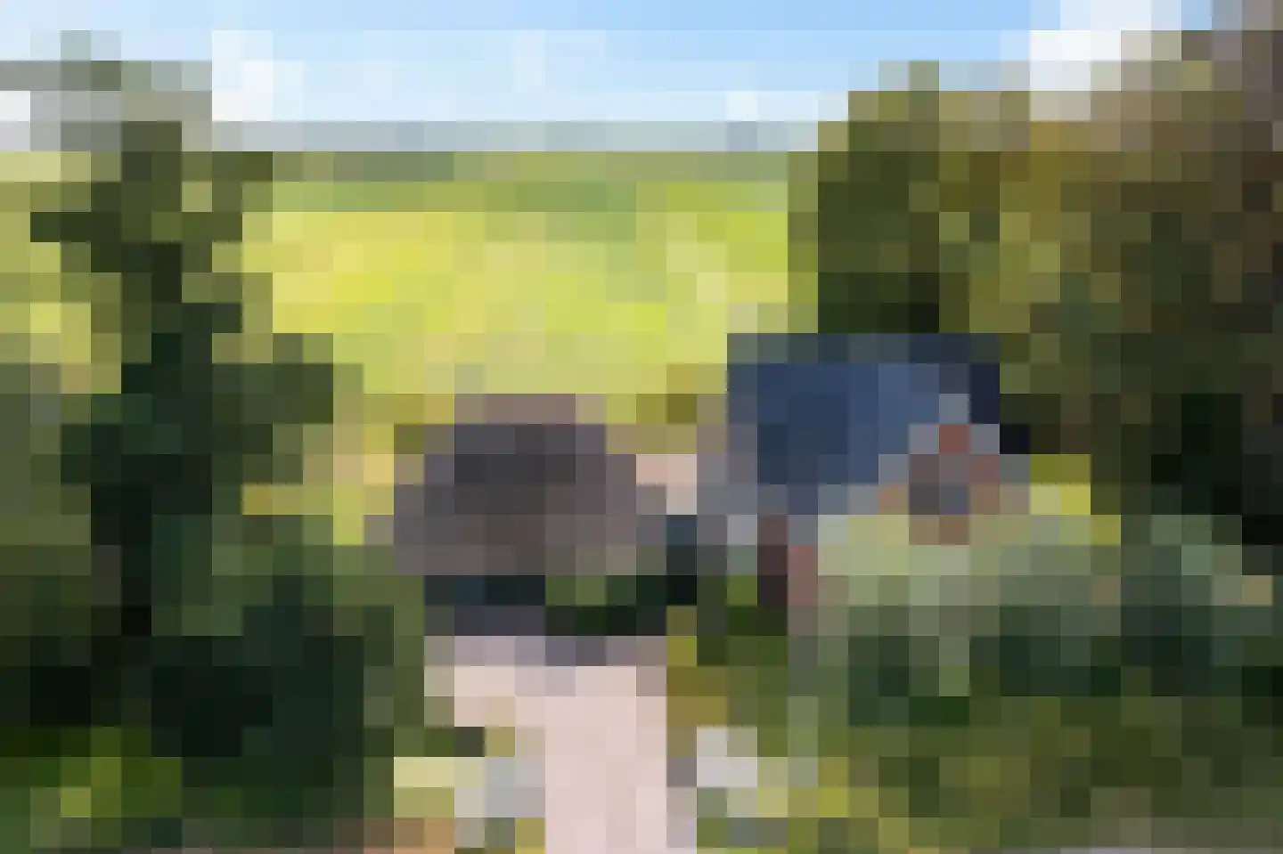 Spangahoekweg 39 Spanga thumbnail 64