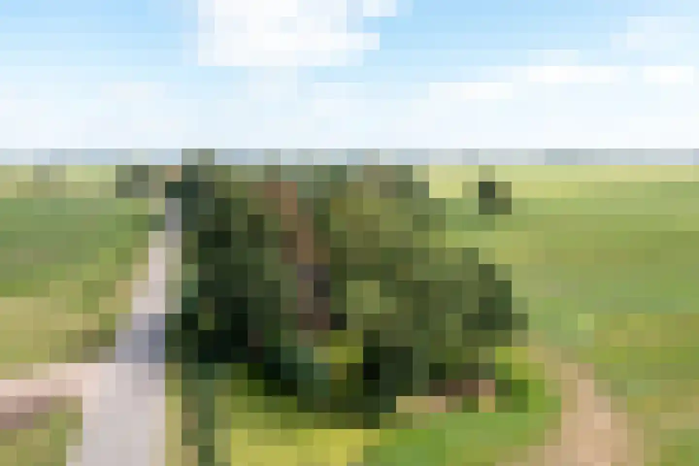 Spangahoekweg 39 Spanga thumbnail 68