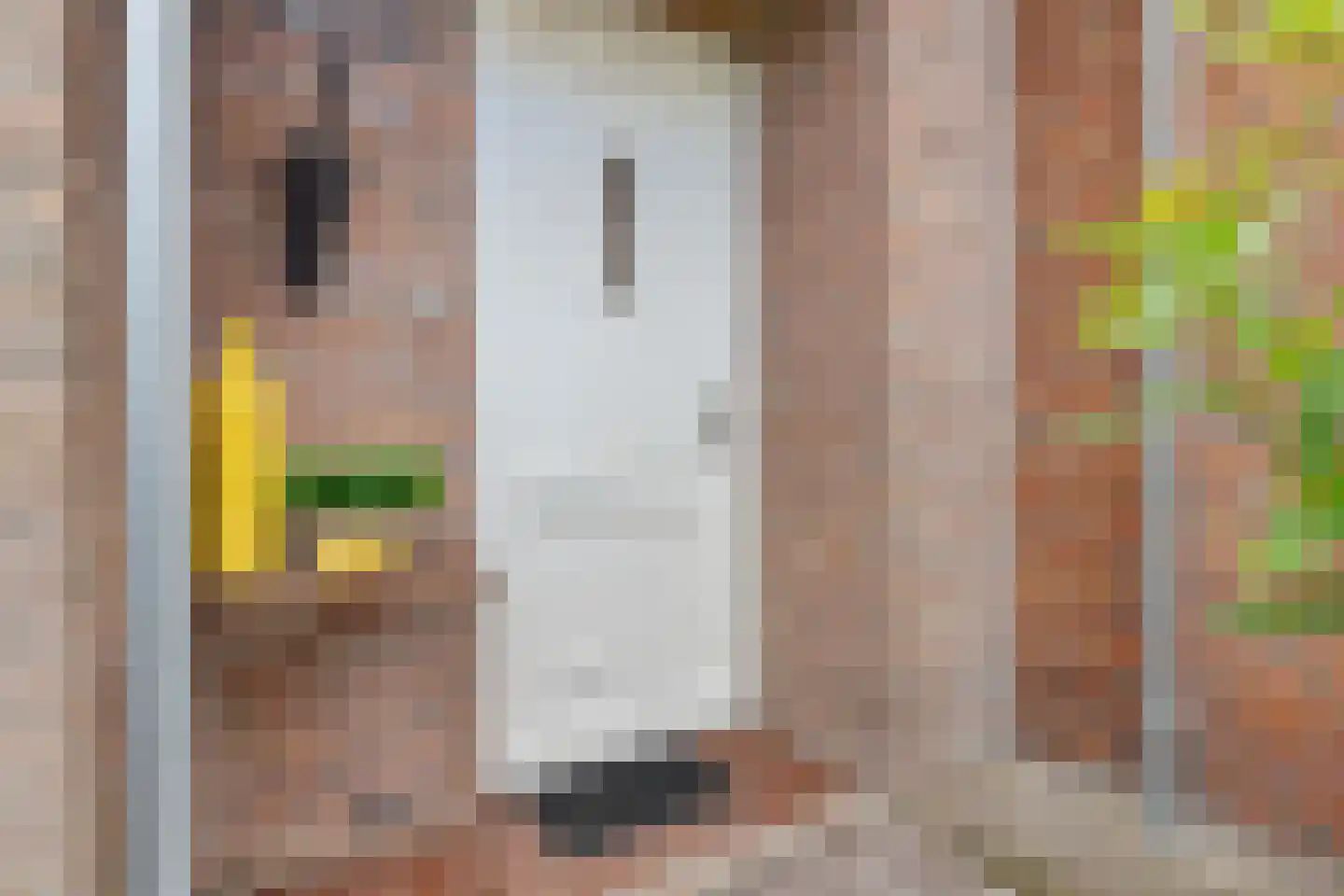 Spangahoekweg 39 Spanga thumbnail 7