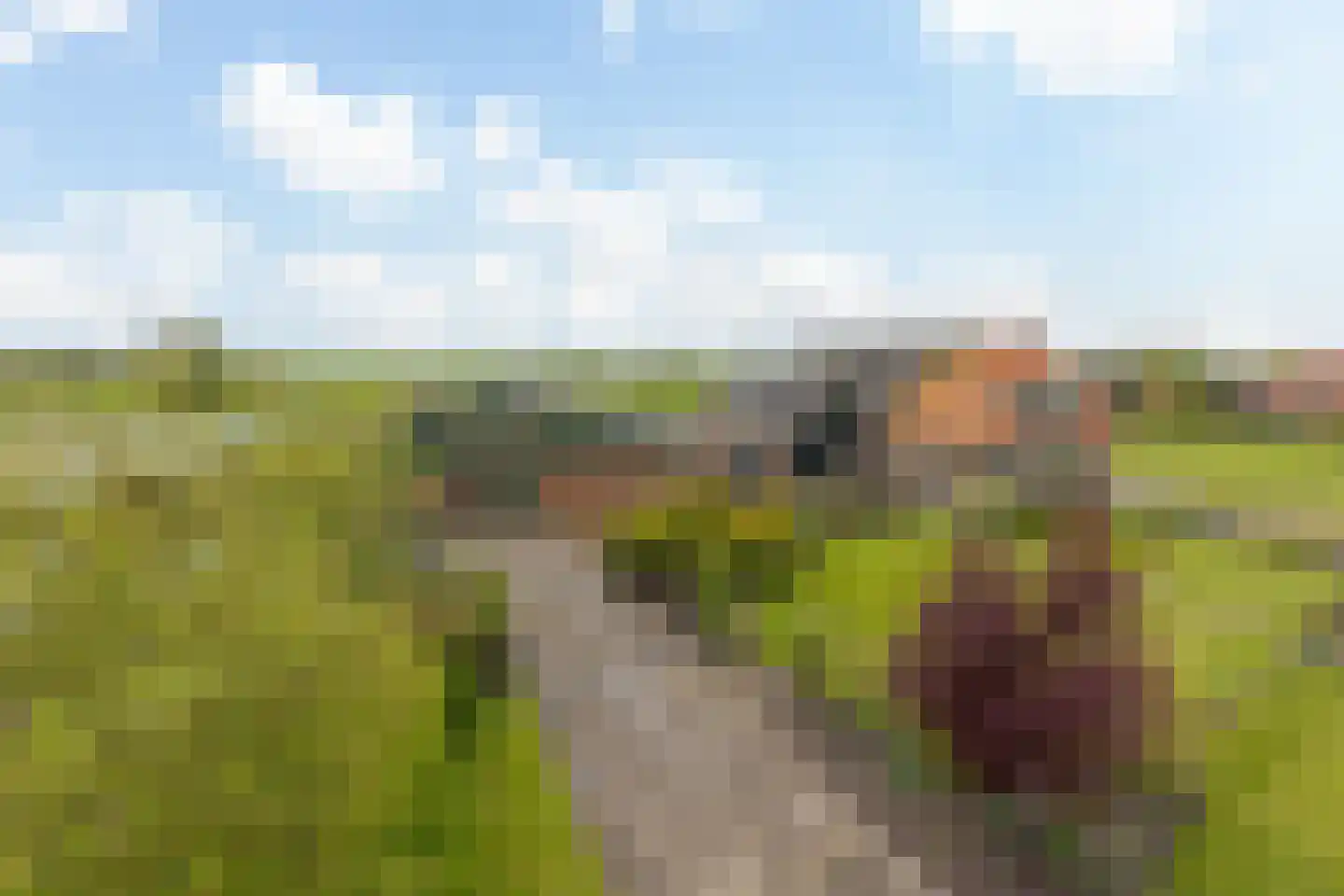 Spangahoekweg 45 Spanga thumbnail 4