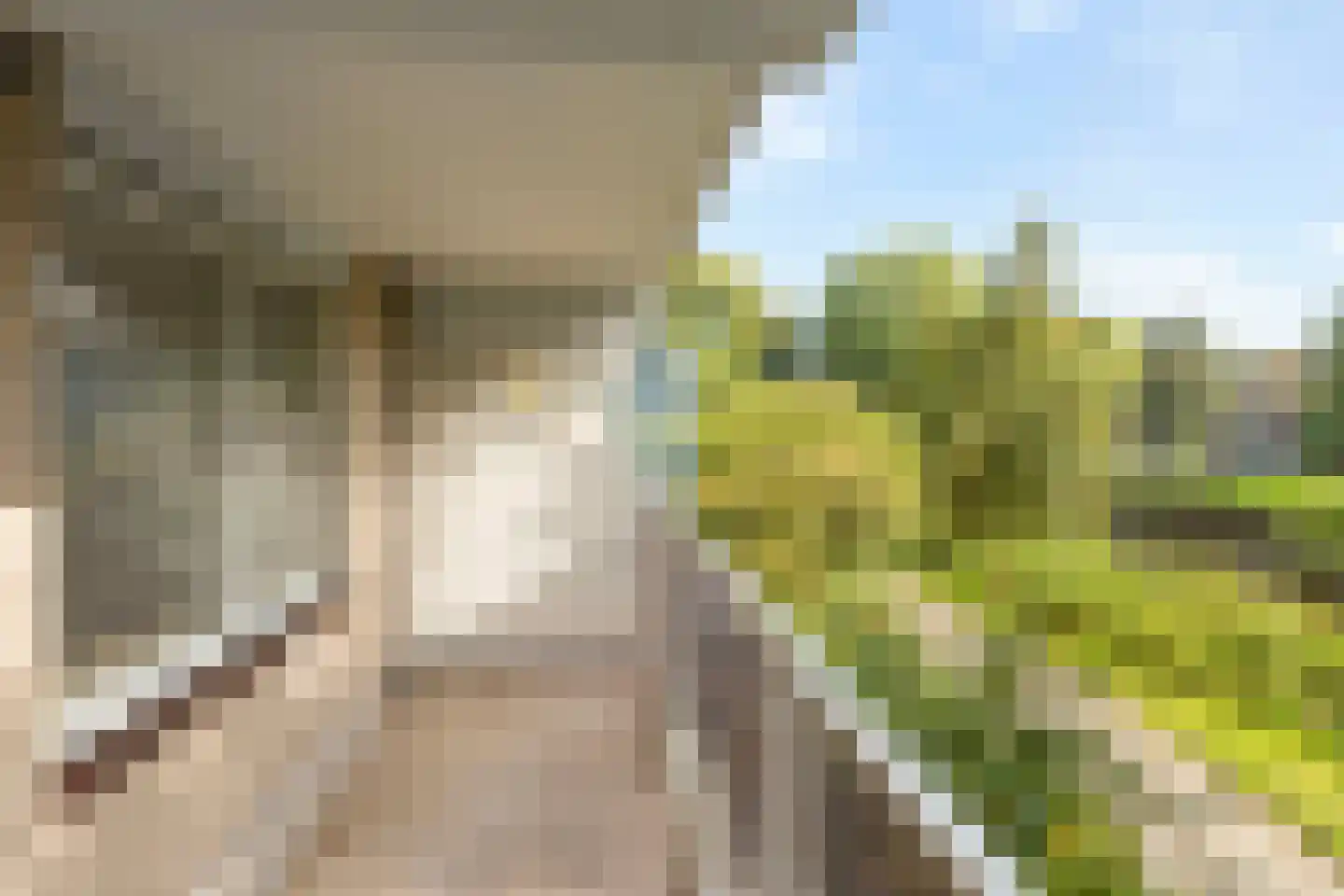 Spangenhof 20 Amsterdam thumbnail 13