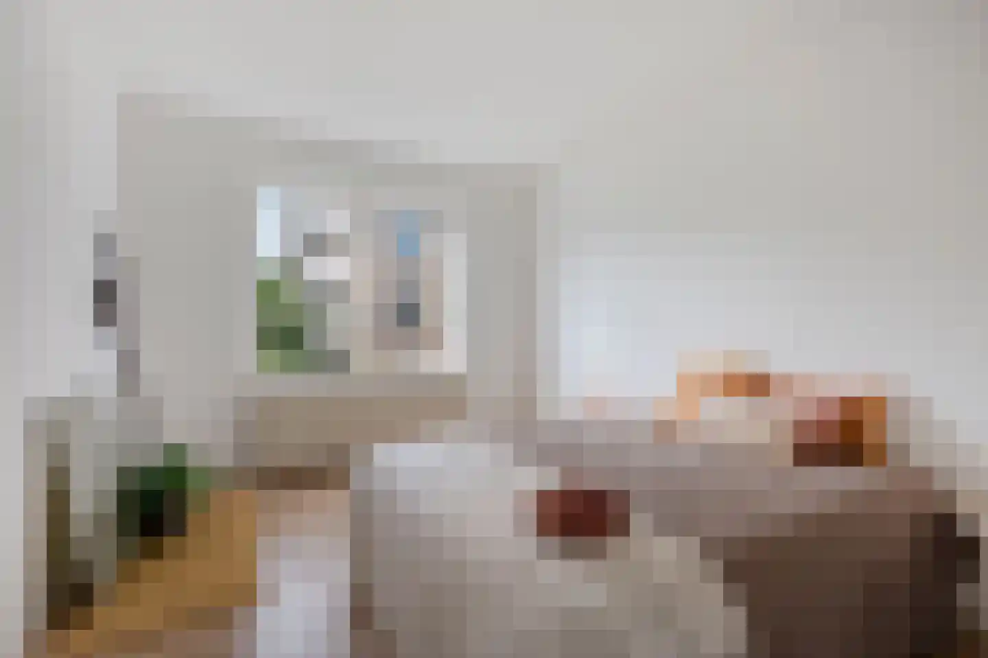 Spangenhof 20 Amsterdam thumbnail 21