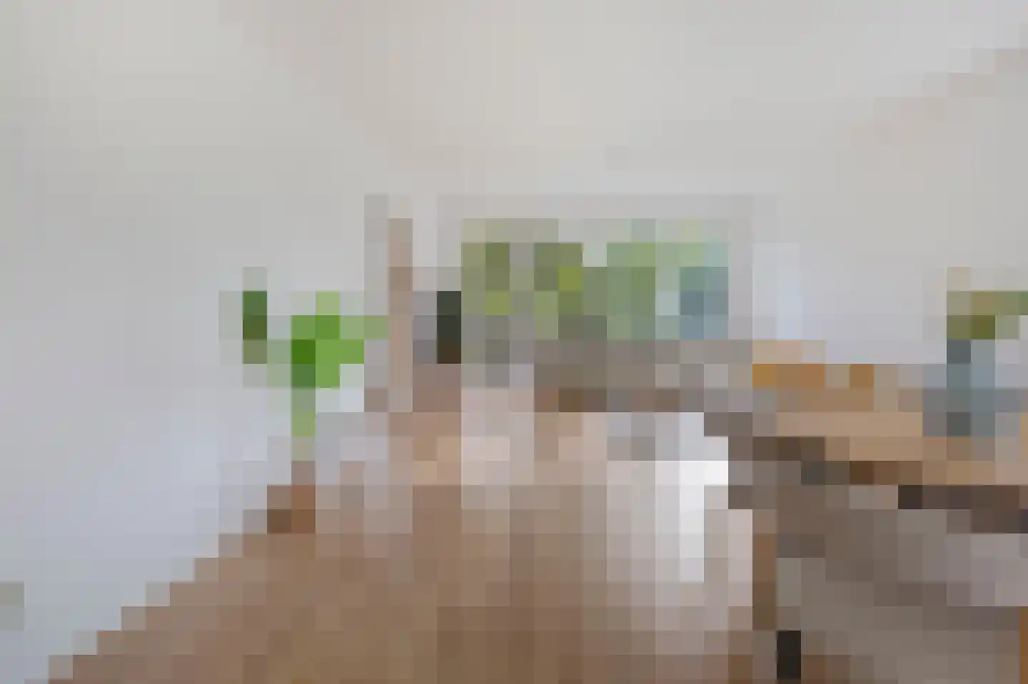 Spangenhof 20 Amsterdam thumbnail 6