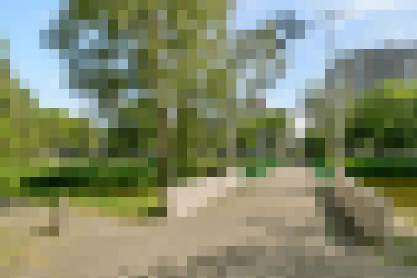 Spangenhof 39 Amsterdam thumbnail 24