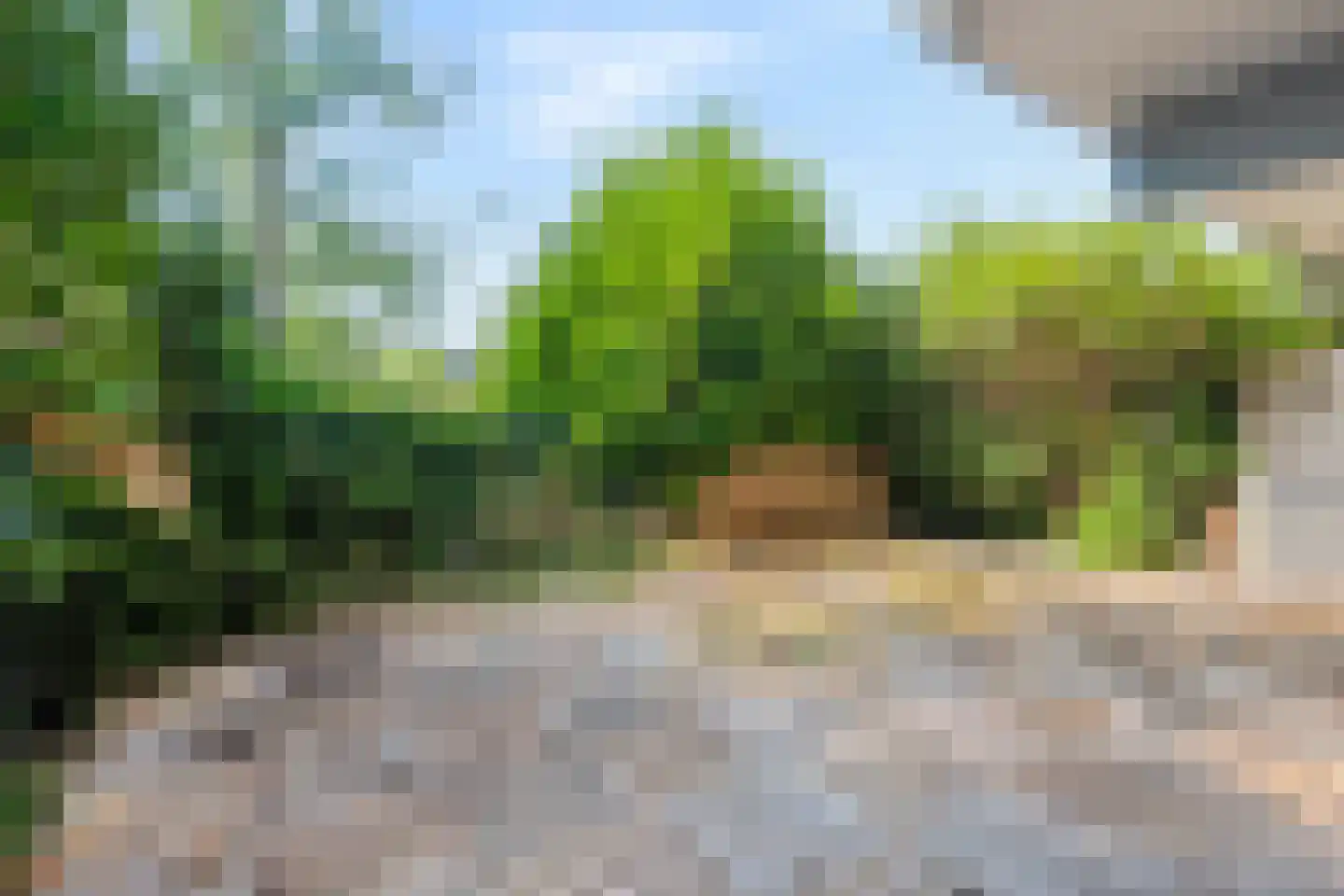 Spangenhof 5 Amsterdam thumbnail 14