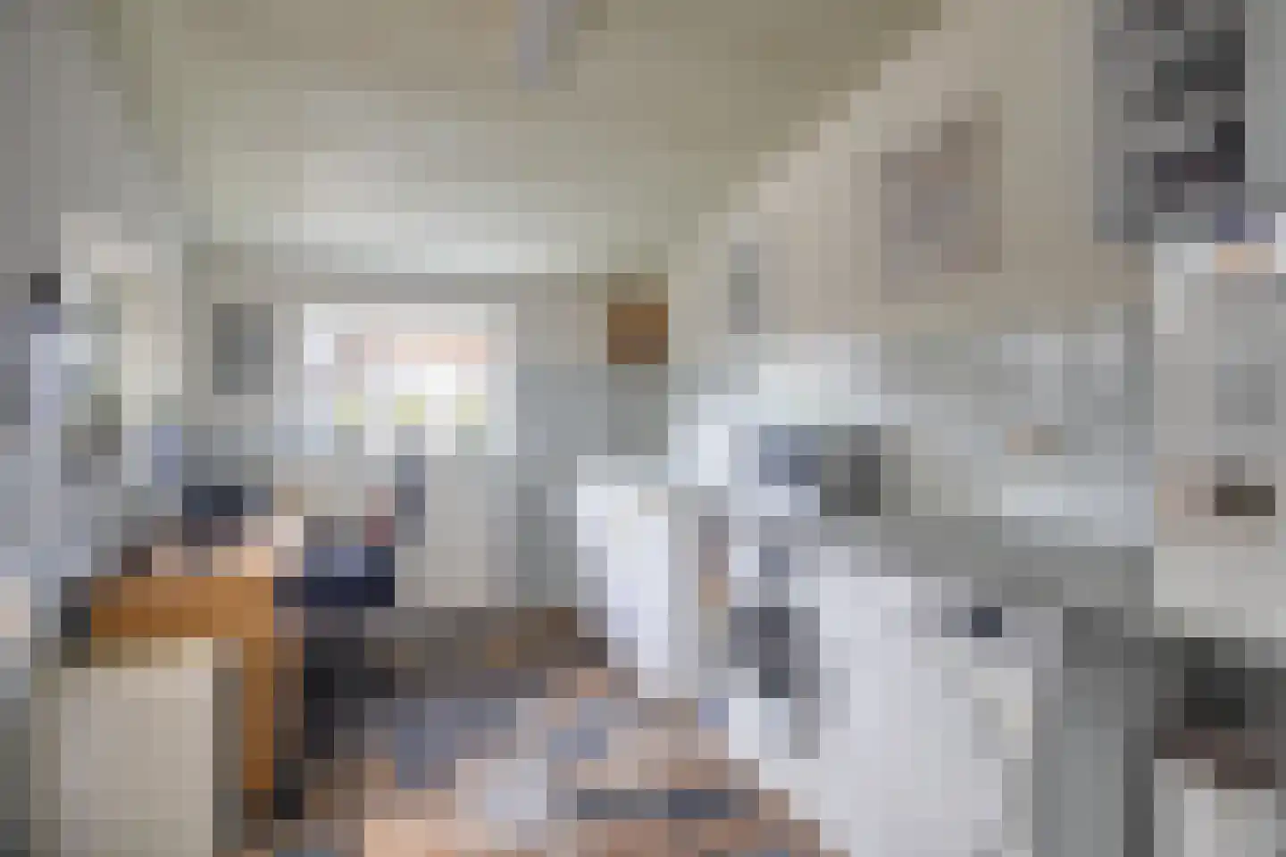 Spangenstraat 1 Waspik thumbnail 11