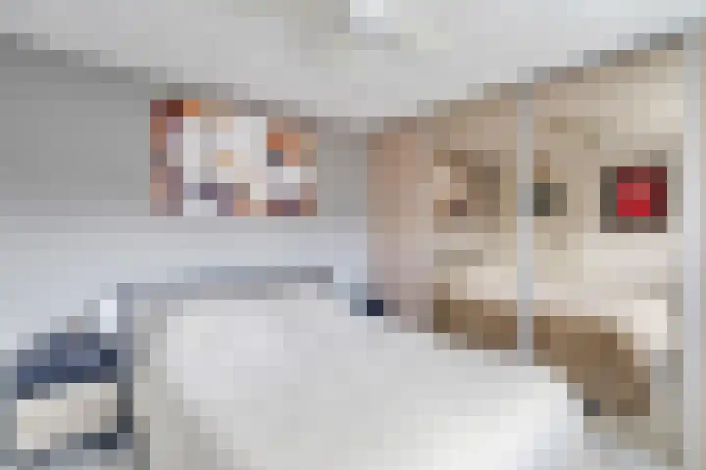 Spangenstraat 1 Waspik thumbnail 22