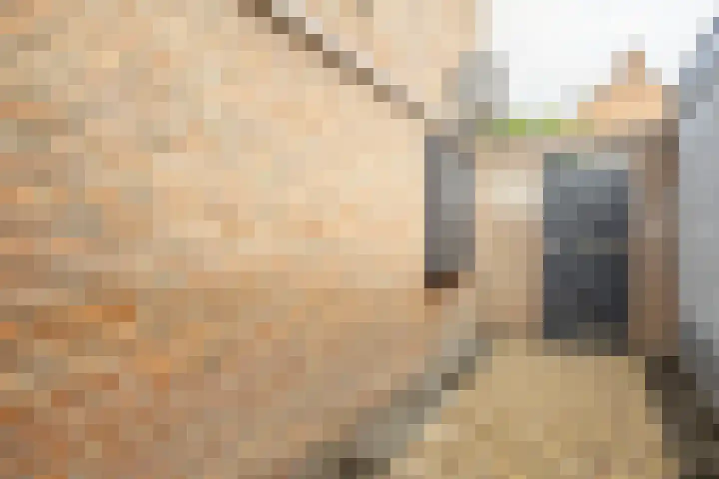 Spangenstraat 1 Waspik thumbnail 38