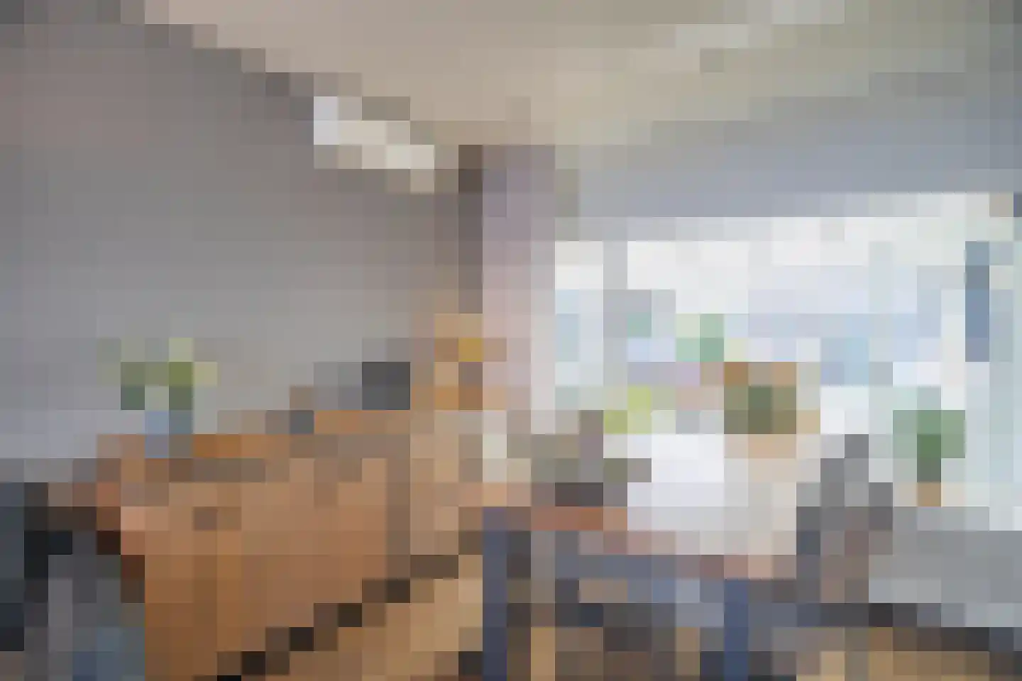 Spangenstraat 1 Waspik thumbnail 8