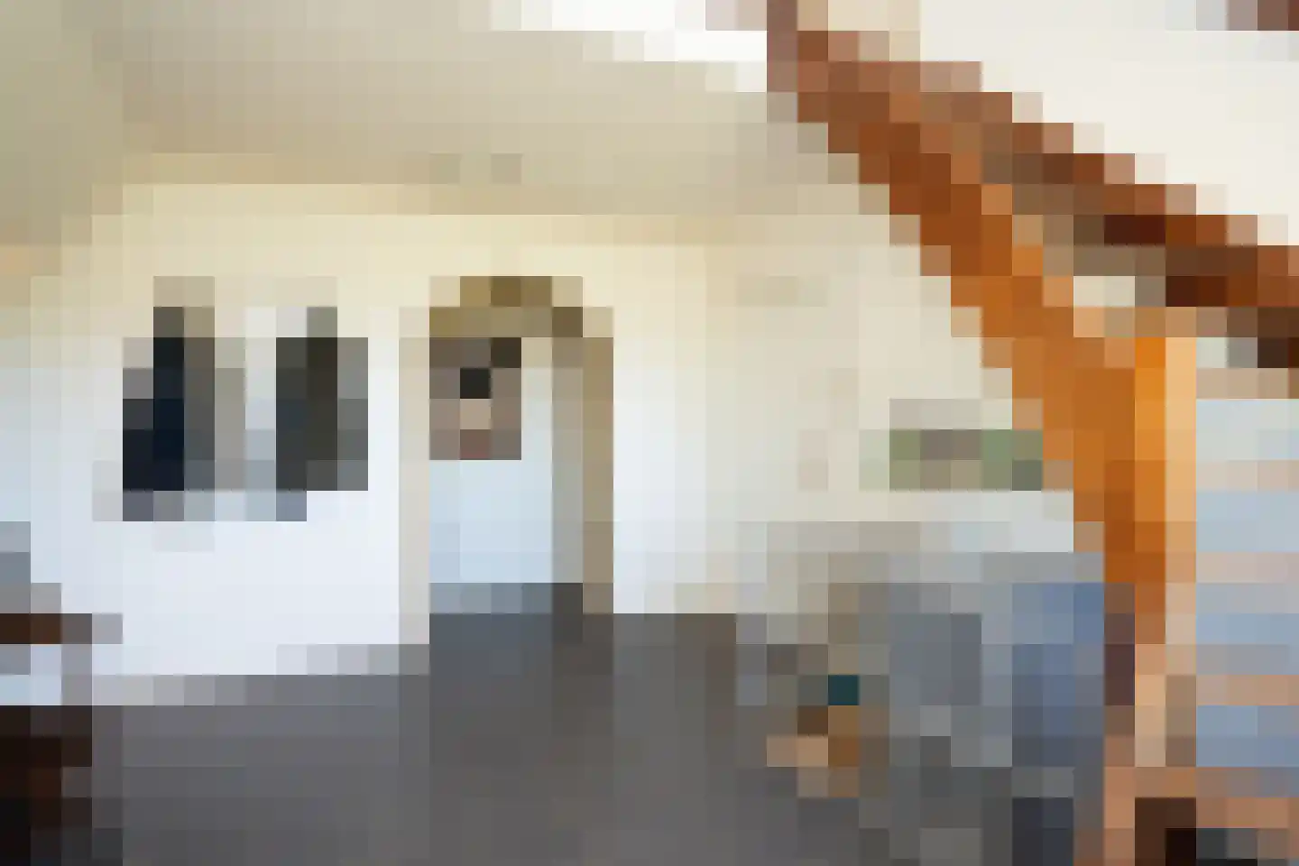 Spangerweg 6 De Waal thumbnail 14