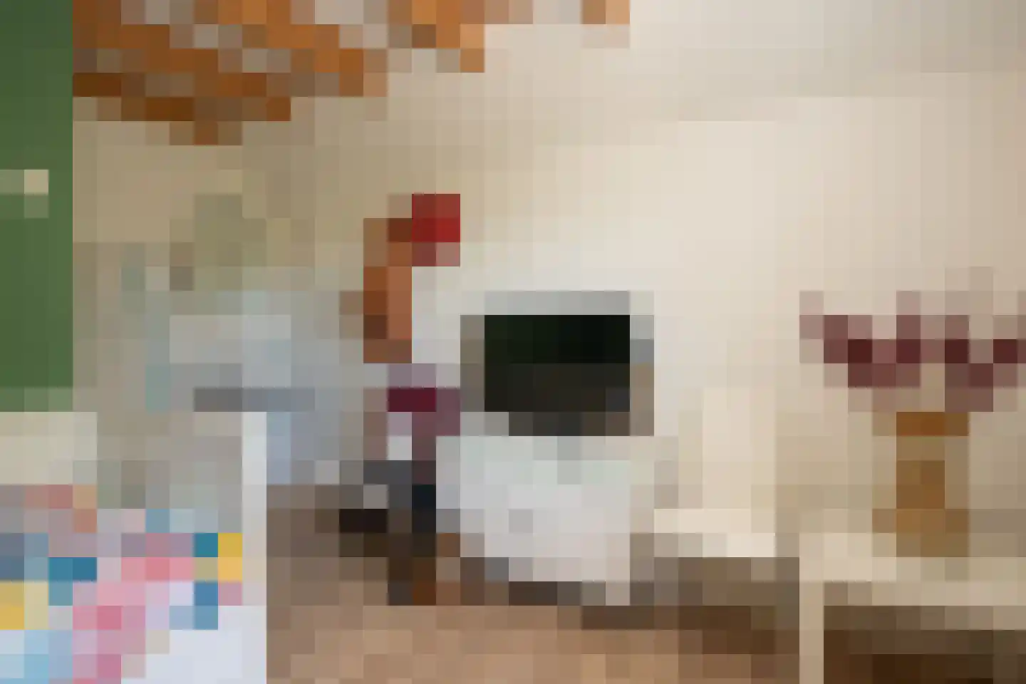 Spangerweg 6 De Waal thumbnail 30