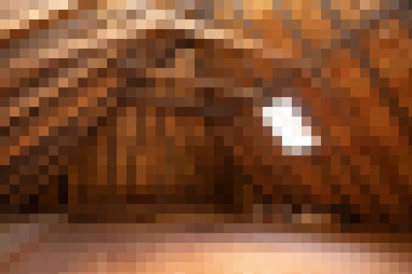 Spangerweg 6 De Waal thumbnail 52