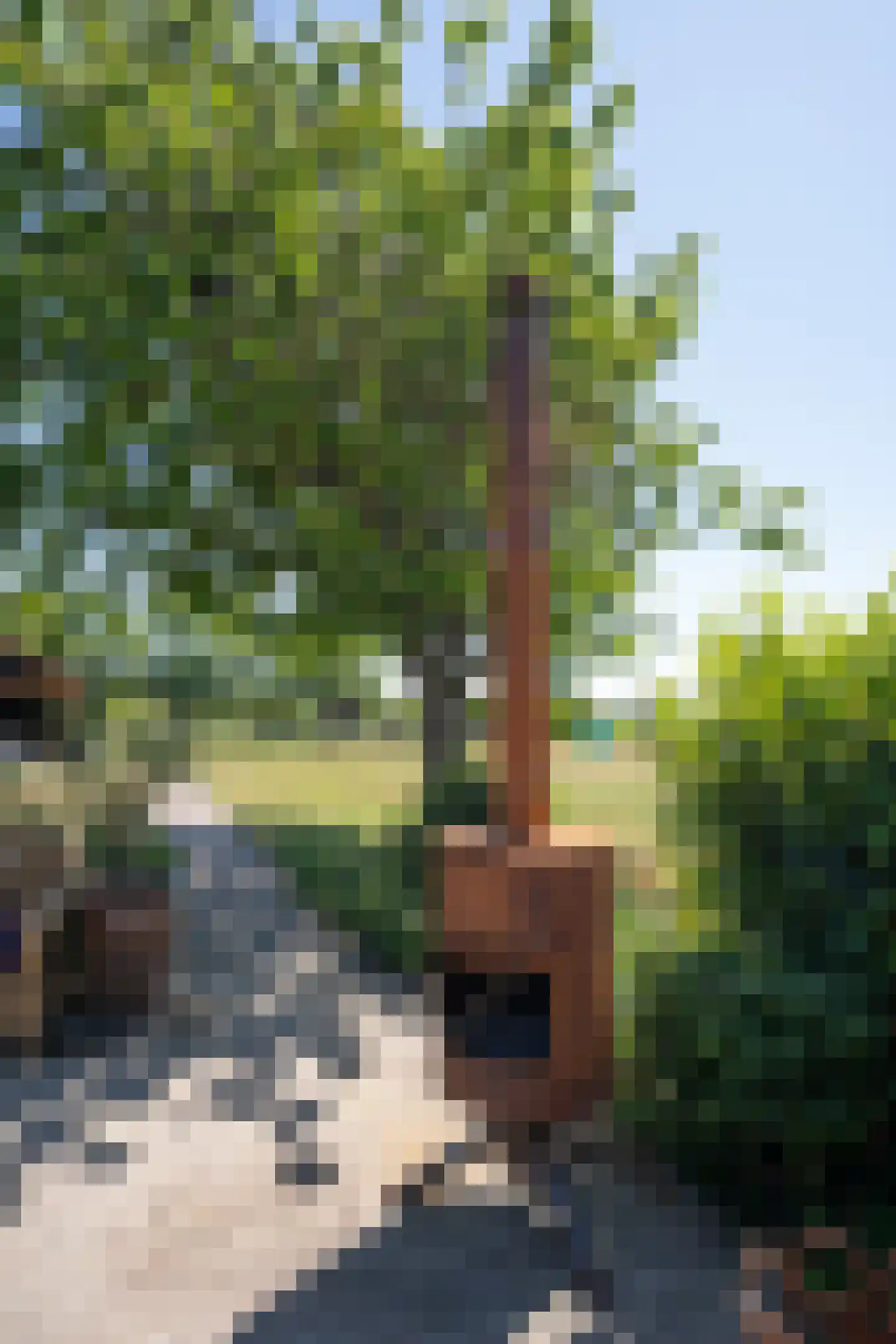Spangerweg 6 De Waal thumbnail 59