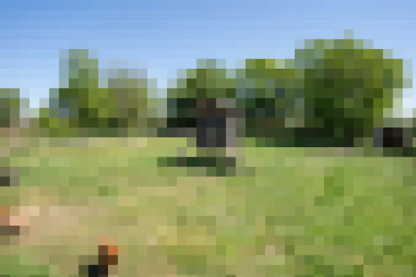 Spangerweg 6 De Waal thumbnail 69