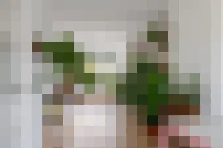 Spangesekade 107 D Rotterdam thumbnail 11