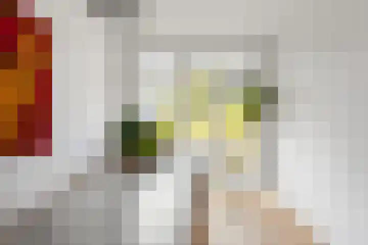 Spangesekade 107 D Rotterdam thumbnail 15