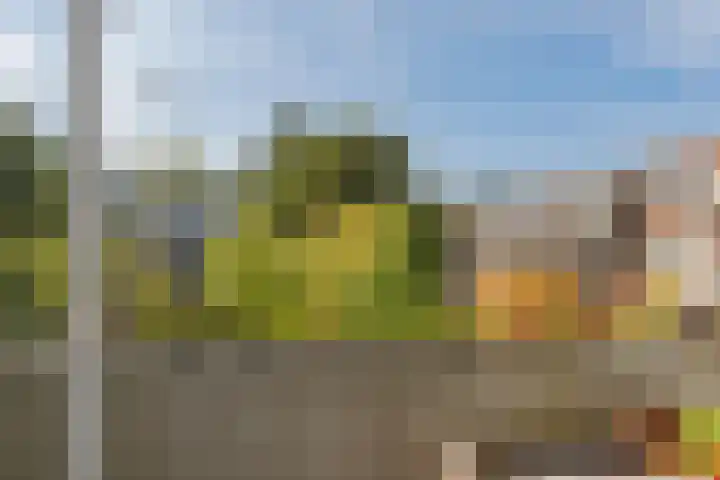 Spangesekade 107 D Rotterdam thumbnail 16