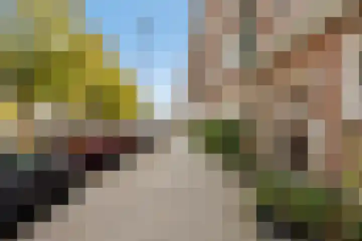 Spangesekade 107 D Rotterdam thumbnail 28