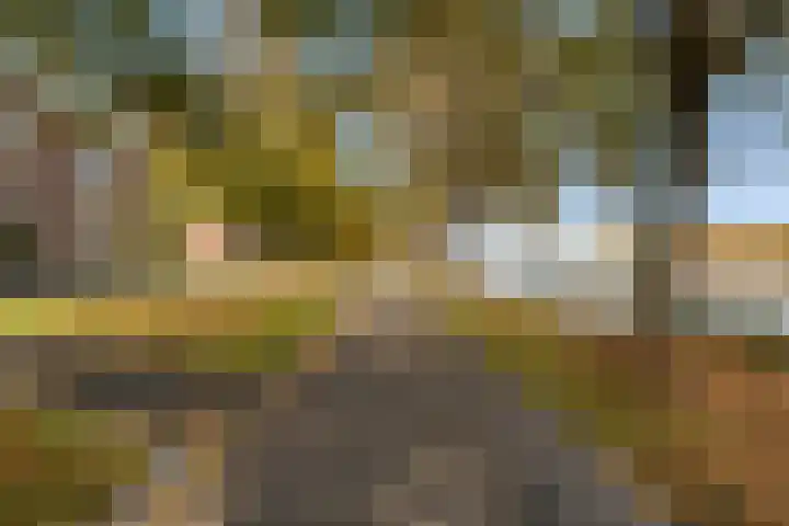 Spangesekade 107 D Rotterdam thumbnail 29