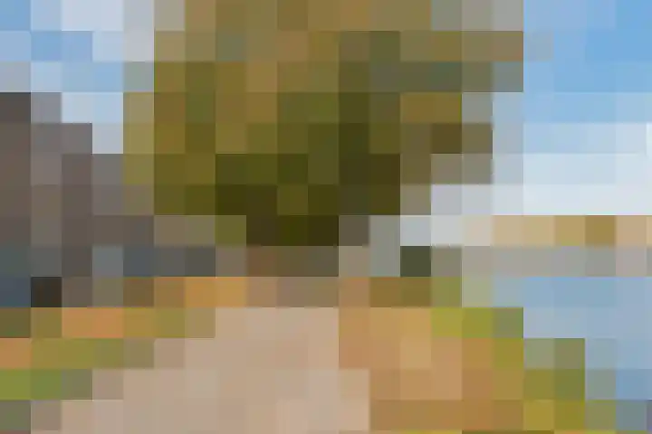 Spangesekade 107 D Rotterdam thumbnail 30