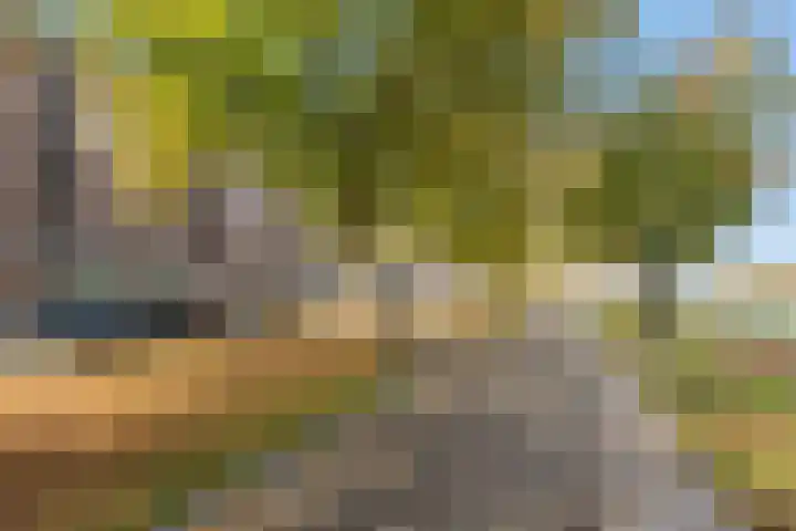 Spangesekade 107 D Rotterdam thumbnail 32