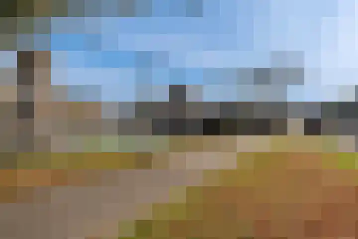 Spangesekade 107 D Rotterdam thumbnail 33