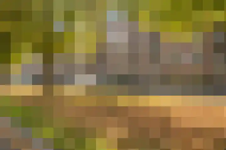 Spangesekade 107 D Rotterdam thumbnail 5