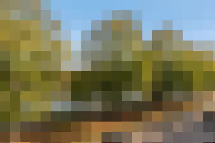 Spangesekade 107 D Rotterdam thumbnail 7