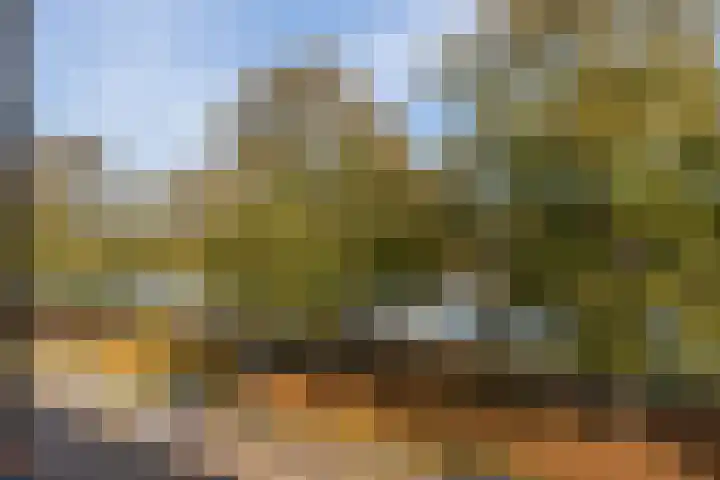 Spangesekade 107 D Rotterdam thumbnail 8