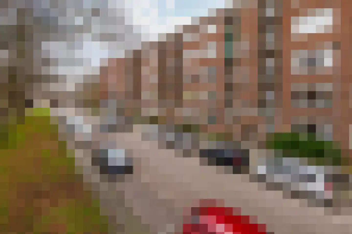 Spangesekade 110 A Rotterdam thumbnail 24
