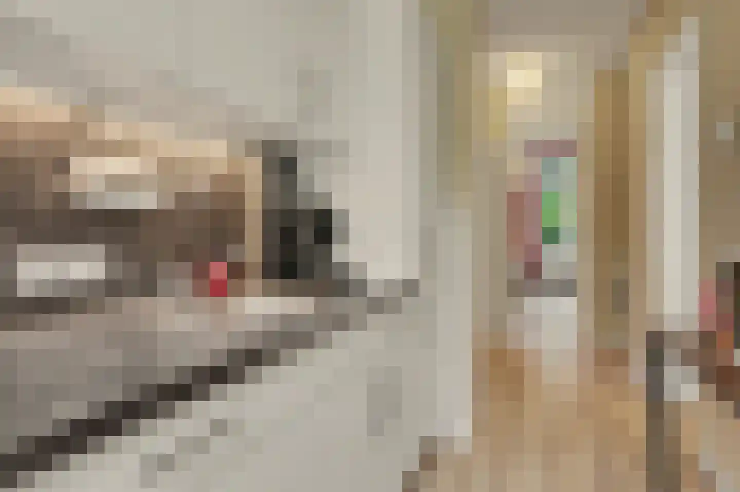 Spangesekade 112 C Rotterdam thumbnail 19