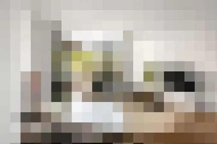 Spangesekade 173 Rotterdam thumbnail 16
