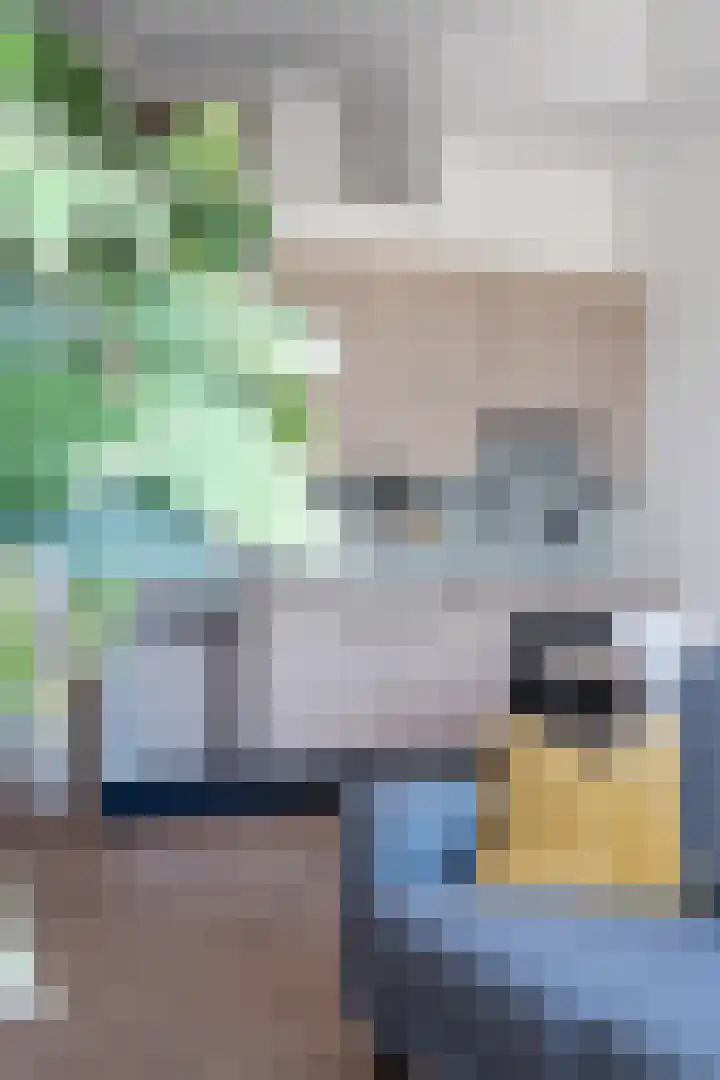 Spangesekade 173 Rotterdam thumbnail 18