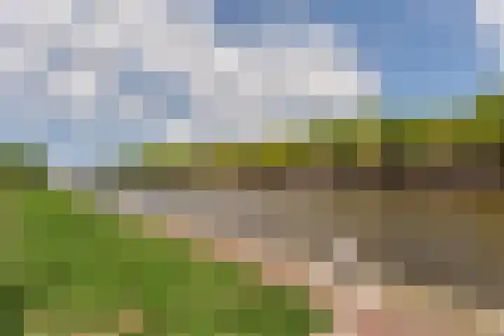 Spangesekade 173 Rotterdam thumbnail 9