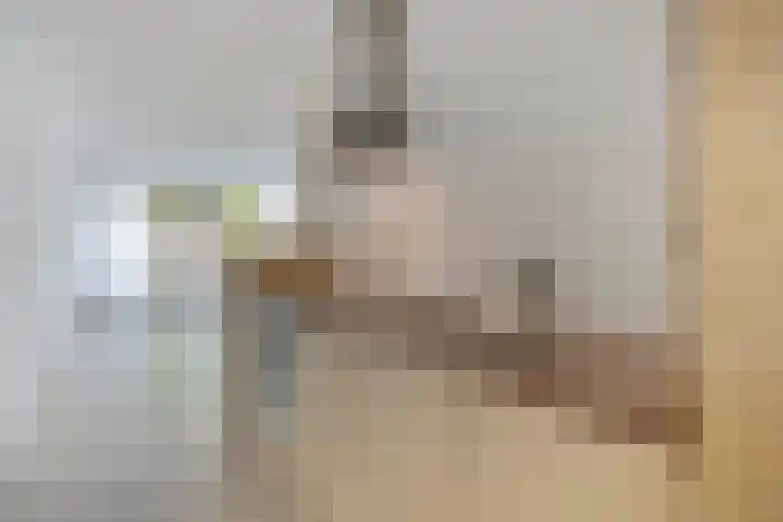 Spangesekade 41 A Rotterdam thumbnail 10