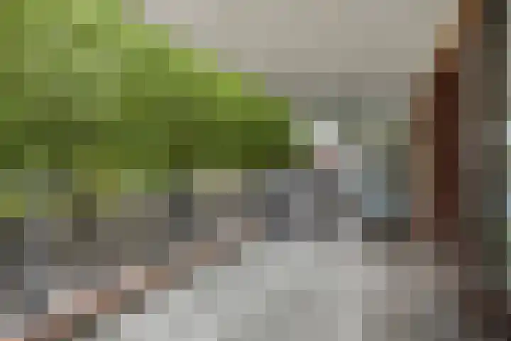 Spangesekade 41 A Rotterdam thumbnail 19