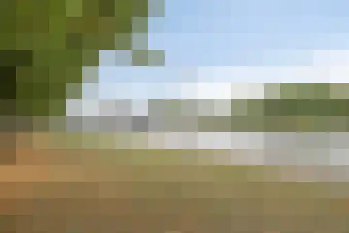 Spangesekade 41 A Rotterdam thumbnail 5