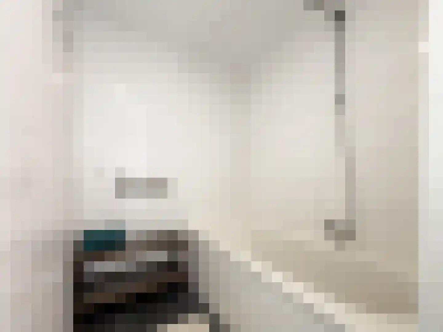 Spangesekade 46 C Rotterdam thumbnail 20
