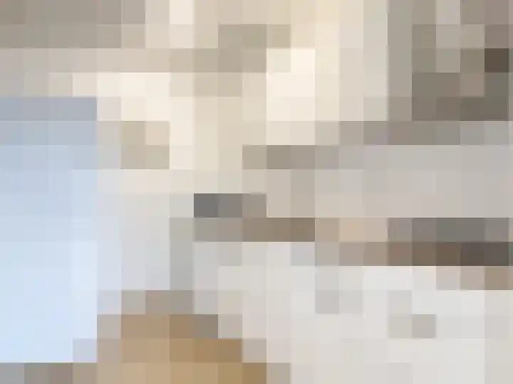 Spangesekade 46 D Rotterdam thumbnail 13