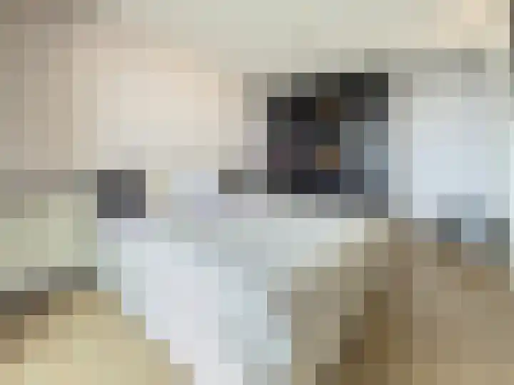 Spangesekade 46 D Rotterdam thumbnail 16