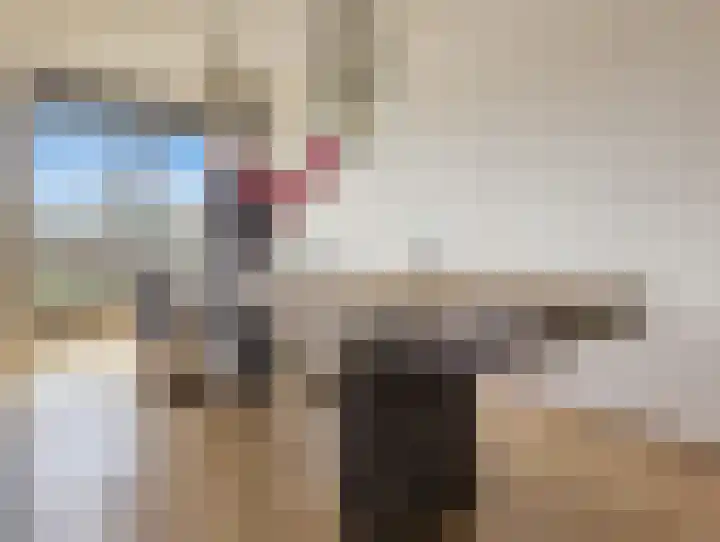 Spangesekade 46 D Rotterdam thumbnail 6