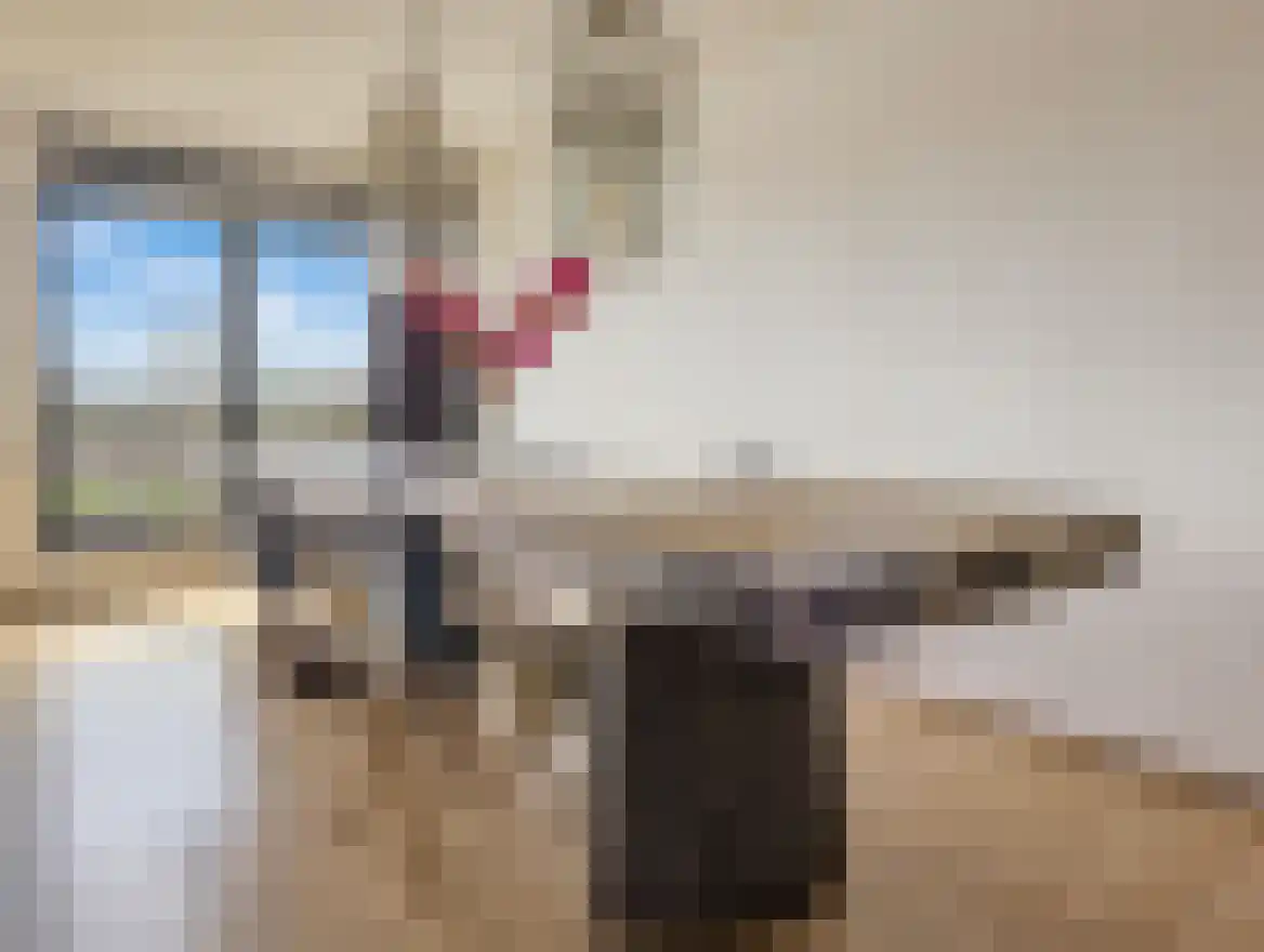 Spangesekade 46 G Rotterdam thumbnail 6