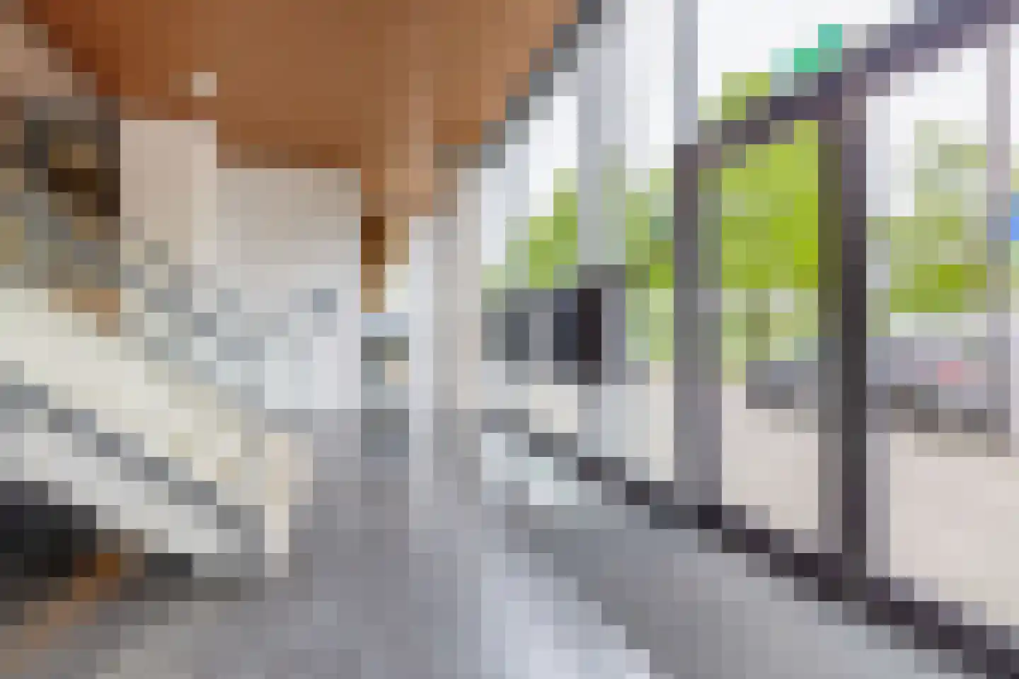 Spangesekade 50 A Rotterdam thumbnail 7