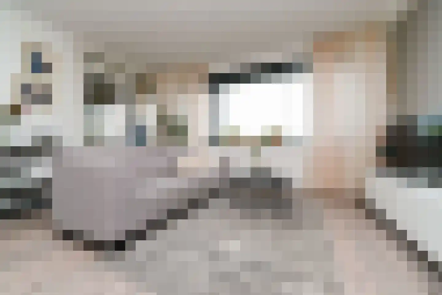 Spangesekade 53 E Rotterdam thumbnail 8