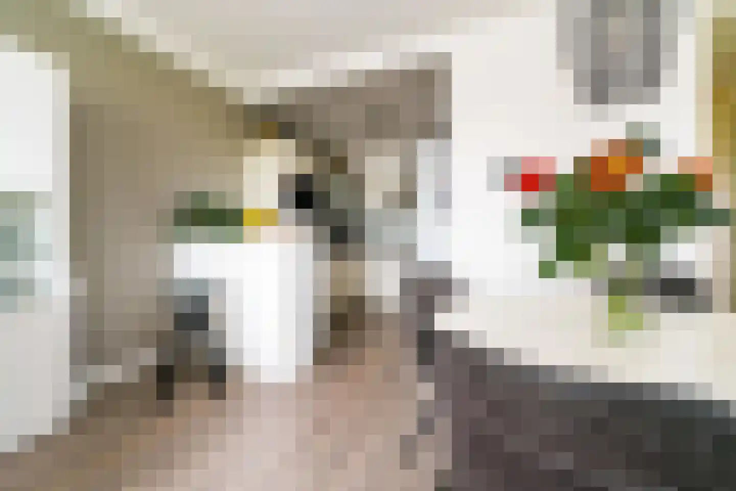Spangesekade 53 E Rotterdam thumbnail 9